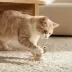 Catit Interactive Cat Toy Fish Twin with Raffia and Feather Tail 2-pack image thumbnail 3