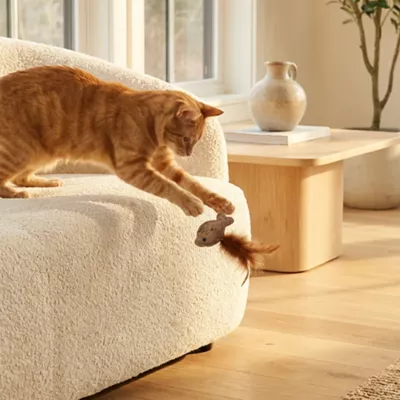 Catit Interactive Cat Toy Fish Twin with Raffia and Feather Tail 2-pack - Image 4