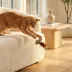 Catit Interactive Cat Toy Fish Twin with Raffia and Feather Tail 2-pack image thumbnail 4