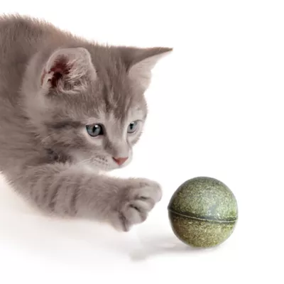 Catit Interactive Catnip & Silverine Play Balls 2-pack - Image 2