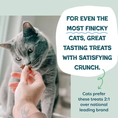 Shameless Pets Catnip N Chill Crunchy Cat Treats - Digestive Support, Chicken & Catnip - Image 6