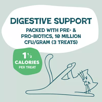 Shameless Pets Catnip N Chill Crunchy Cat Treats - Digestive Support, Chicken & Catnip - Image 7
