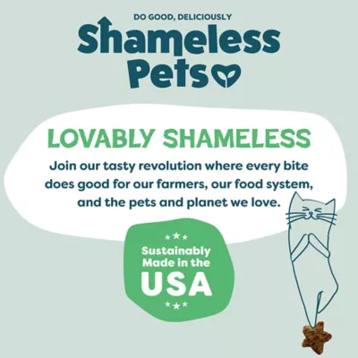 Shameless Pets Catnip N Chill Crunchy Cat Treats - Digestive Support, Chicken & Catnip - Image 10