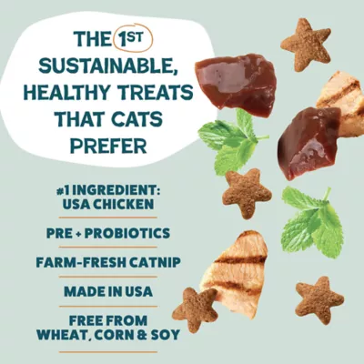 Shameless Pets Catnip N Chill Crunchy Cat Treats - Digestive Support, Chicken Liver & Catnip - Image 3
