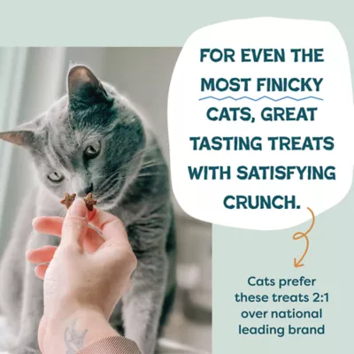 Shameless Pets Catnip N Chill Crunchy Cat Treats - Digestive Support, Chicken Liver & Catnip - Image 4