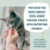 Shameless Pets Catnip N Chill Crunchy Cat Treats - Digestive Support, Chicken Liver & Catnip image thumbnail 4