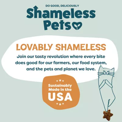 Shameless Pets Catnip N Chill Crunchy Cat Treats - Digestive Support, Chicken Liver & Catnip - Image 8