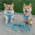 Sassy Woof Disney's Stitch Dog Harness image thumbnail 6