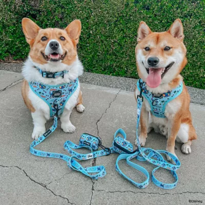 Sassy Woof Disney's Stitch Dog Harness - Image 6