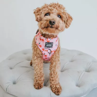 Sassy Woof Mon Chérry Dog Harness - Image 6