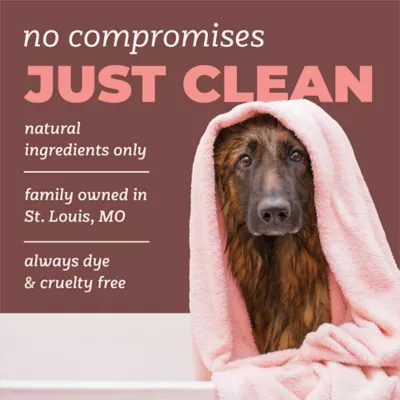TropiClean PURE Dog Shampoo Hypoallergenic, Crisp & Clean Fresh Scent, 22-fl oz bottle - Image 5