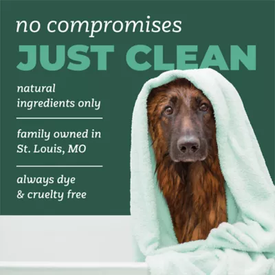 TropiClean PURE Dog Shampoo Odor Control, Cuddly Clean Scent,  22-fl oz bottle - Image 5