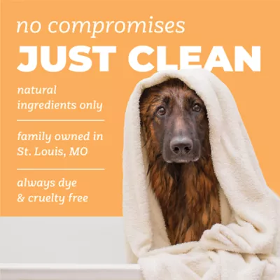 TropiClean PURE Dog Itch Relief Shampoo, Sunset Summer Scent, 22-fl oz bottle - Image 5