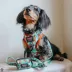 Sassy Woof Scooby-Doo# Dog Harness image thumbnail 6