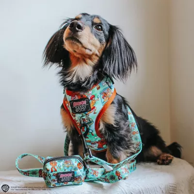 Sassy Woof Scooby-Doo# Dog Harness - Image 6