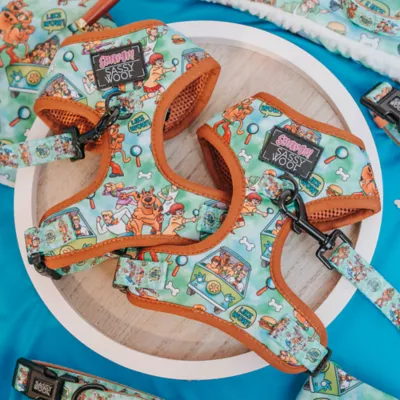 Sassy Woof Scooby-Doo# Dog Harness - Image 5