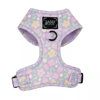 Sassy Woof Fleur De Sass Dog Harness - Image 1