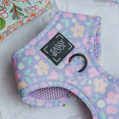 Sassy Woof Fleur De Sass Dog Harness - Image 5