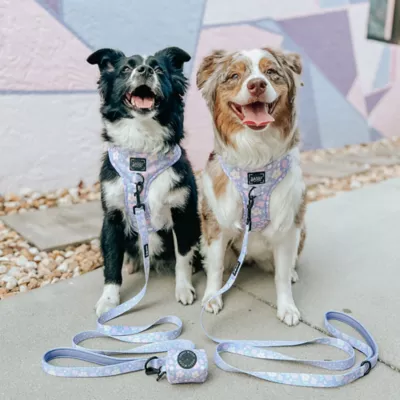 Sassy Woof Fleur De Sass Dog Harness - Image 6