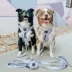 Sassy Woof Fleur De Sass Dog Harness image thumbnail 6