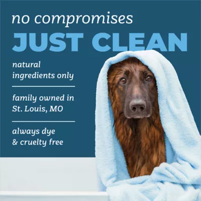 TropiClean PURE Dog Deodorizing Perfume Spray, Berry Fresh Deluxe 2-in-1, 8-fl oz bottle - Image 5
