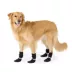 Top Paw® Essential Dog Boots, Multiple Colors & Sizes, Black/Tan, XS-XXL image thumbnail 6