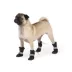 Top Paw® Essential Dog Boots, Multiple Colors & Sizes, Black/Tan, XS-XXL image thumbnail 1