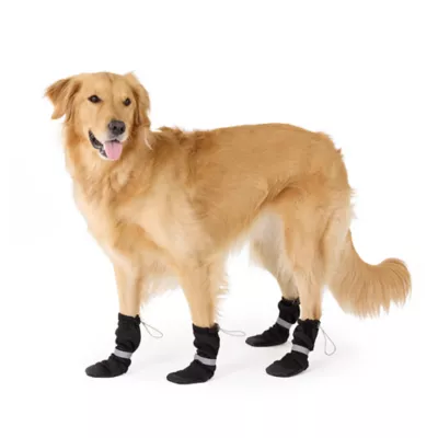 Top Paw® Essential Dog Boots, Multiple Colors & Sizes, Black/Tan, XS-XXL - Image 6
