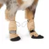 Top Paw® Essential Dog Boots, Multiple Colors & Sizes, Black/Tan, XS-XXL image thumbnail 2