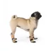 Top Paw® Essential Dog Boots, Multiple Colors & Sizes, Black/Tan, XS-XXL image thumbnail 6