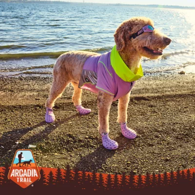 Arcadia Trail® Dog Water Boots, Multiple Colors & Sizes, Grey/Navy, XS-XXL - Image 6