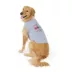 Top Paw® Everyday Dog Tee Bestie, Multiple Sizes, XS-XL image thumbnail 1
