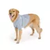Top Paw® Everyday Dog Hoodie, Multiple Colors & Sizes, Pink/Blue/Grey, XS-XL image thumbnail 1