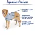 Top Paw® Everyday Dog Hoodie, Multiple Colors & Sizes, Pink/Blue/Grey, XS-XL image thumbnail 3