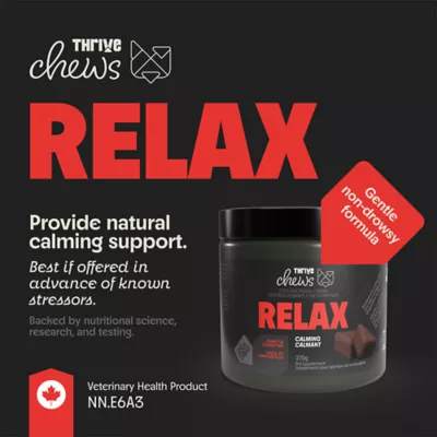 Thrive Chew Relax Calming 270g for Dogs - Image 2