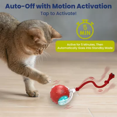 PawsPik Chirp & Chase Motion Activated Cat Ball with LED Lights, Red - Image 2