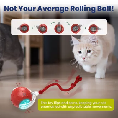 PawsPik Chirp & Chase Motion Activated Cat Ball with LED Lights, Red - Image 3