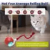 PawsPik Chirp & Chase Motion Activated Cat Ball with LED Lights, Red image thumbnail 3