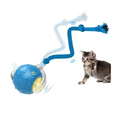 PawsPik Chirp & Chase Motion Activated Cat Ball with LED Lights, Blue - Image 1