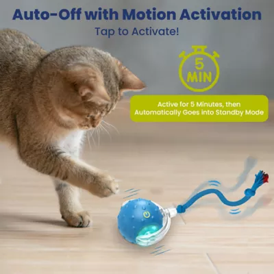 PawsPik Chirp & Chase Motion Activated Cat Ball with LED Lights, Blue - Image 2