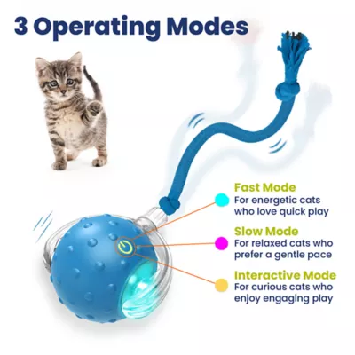 PawsPik Chirp & Chase Motion Activated Cat Ball with LED Lights, Blue - Image 6