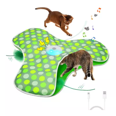 PawsPik Interactive Hide & Seek Concealed Feather Cat Toy - Green - Image 1