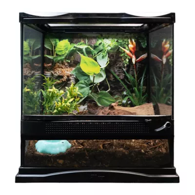 Zoo Med® Creatures® Naturalistic Terrarium Invertebrate Starter Kit - 12 x 12 x 12 - Image 2