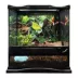 Zoo Med® Creatures® Naturalistic Terrarium Invertebrate Starter Kit - 12 x 12 x 12 image thumbnail 2