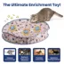 PawsPik Cat Interactive Fast Rolling Play Mat Ball Toy image thumbnail 3