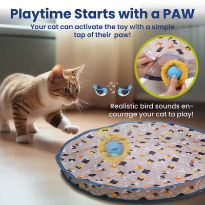 PawsPik Cat Interactive Fast Rolling Play Mat Ball Toy - Image 5