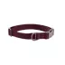 Carhartt Field Dog Collar, Adjustable, Reflective Details for Low light Visible, Color and Size Vary image thumbnail 1
