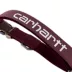 Carhartt Field Dog Collar, Adjustable, Reflective Details for Low light Visible, Color and Size Vary image thumbnail 3