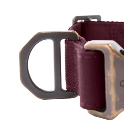 Carhartt Field Dog Collar, Adjustable, Reflective Details for Low light Visible, Color and Size Vary - Image 6
