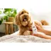 Palmer's for Pets Direct Relief Lotion Spray with Cocoa Butter for Dry Skin, 8 oz image thumbnail 4